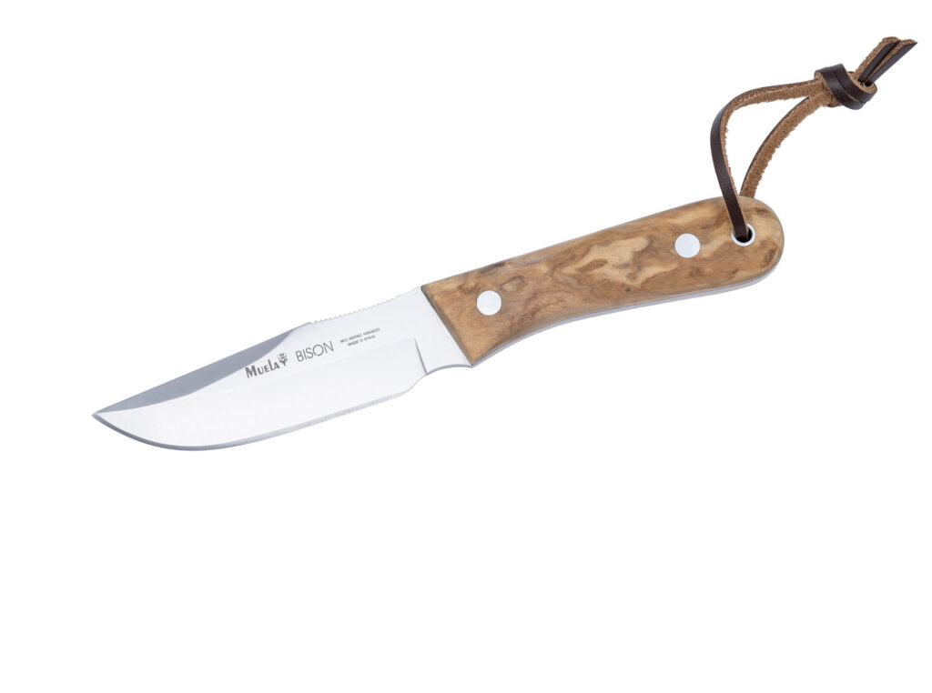 Muela BISON-9.OL Zeytin Ağacı Saplı Outdoor Bıçağı